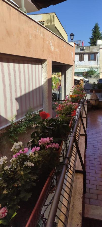 Elisa E Carla House Beautiful Apartments On The Cassia روما المظهر الخارجي الصورة