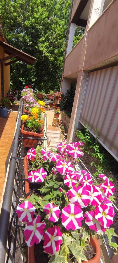 Elisa E Carla House Beautiful Apartments On The Cassia روما المظهر الخارجي الصورة